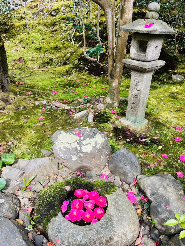 日本「京都旅行」の写真