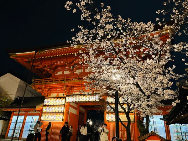 日本「京都旅行」の写真