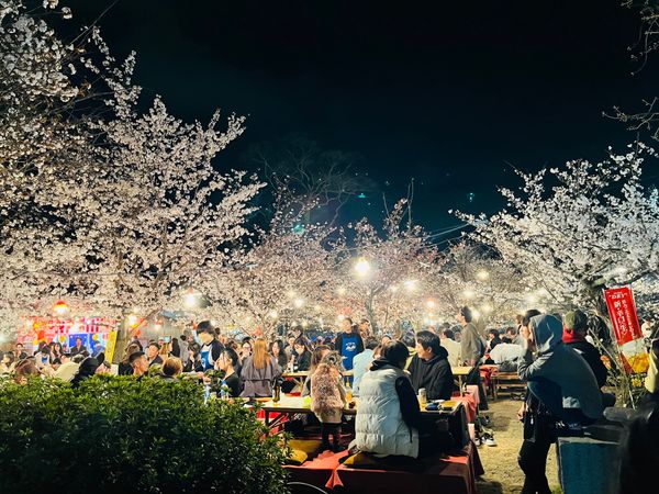 日本「京都旅行」の写真