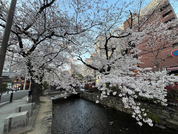 日本「京都旅行」の写真