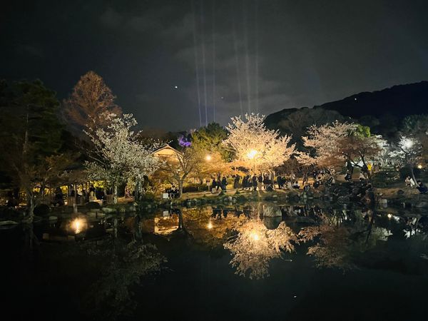 日本「京都旅行」の写真