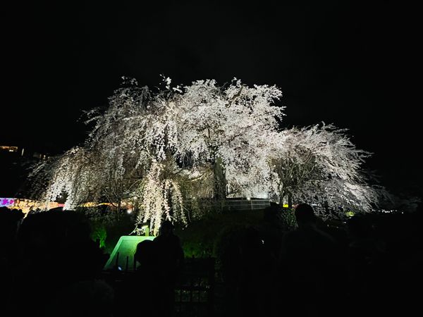 日本「京都旅行」の写真