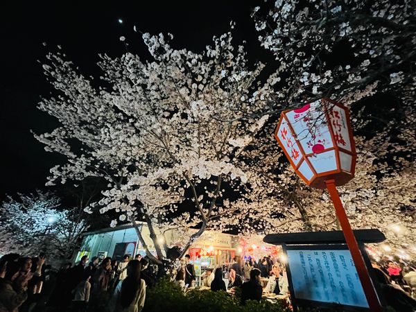 日本「京都旅行」の写真