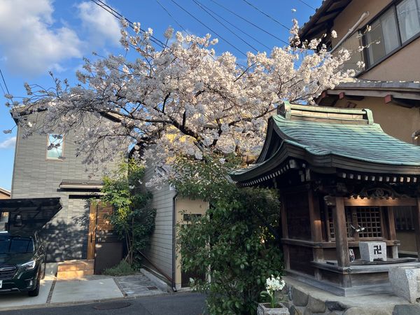 日本「京都旅行」の写真