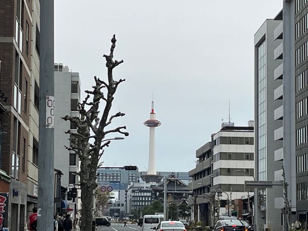 日本「京都旅行」の写真