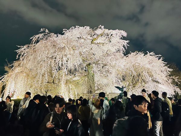 日本「京都旅行」の写真