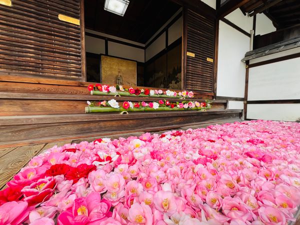 日本「京都旅行」の写真