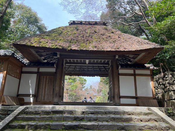 日本「京都旅行」の写真