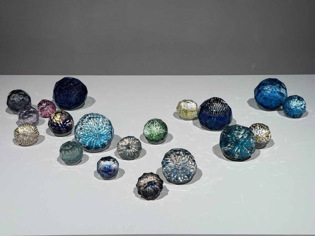 きれい。可愛い。