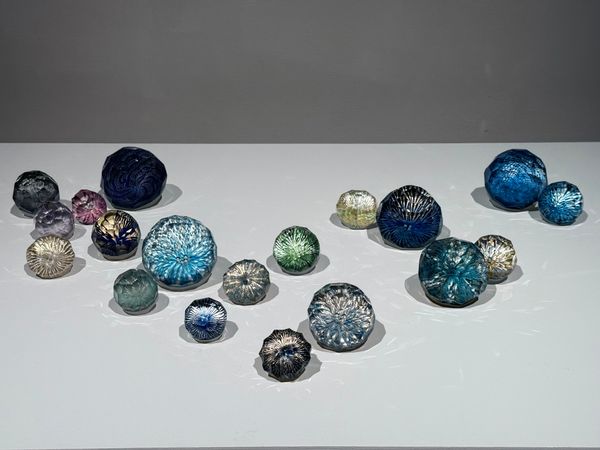 日本・富山県「2025富山」の写真：きれい。可愛い。