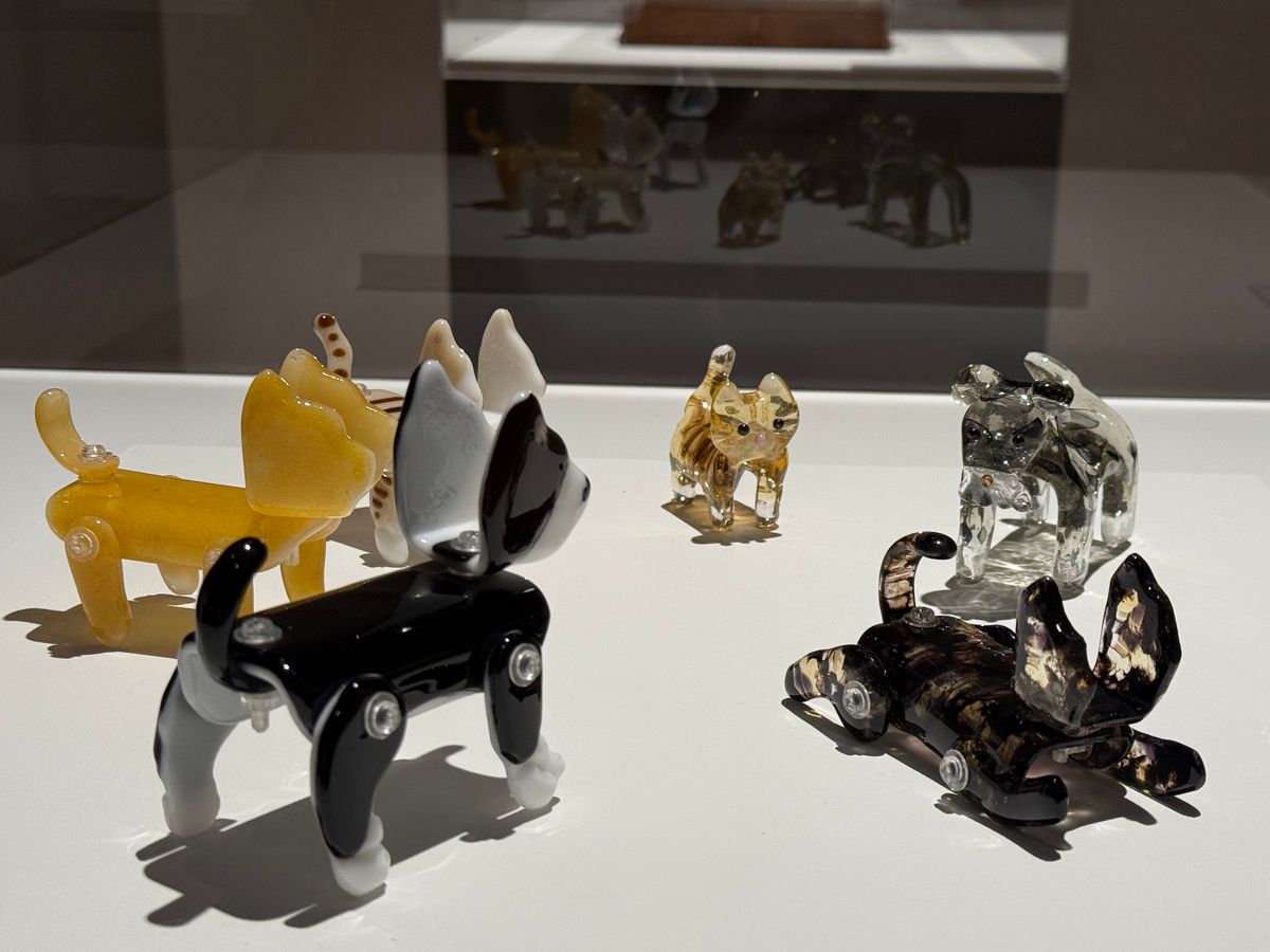 きれい。可愛い。