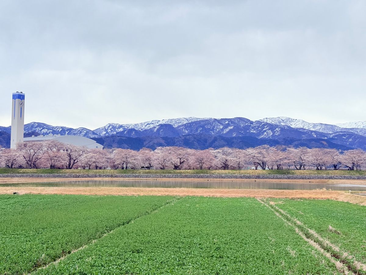 2日目は目的の春の四重奏！あいにくの曇り空。そして二重奏。けど立山連峰バッ...