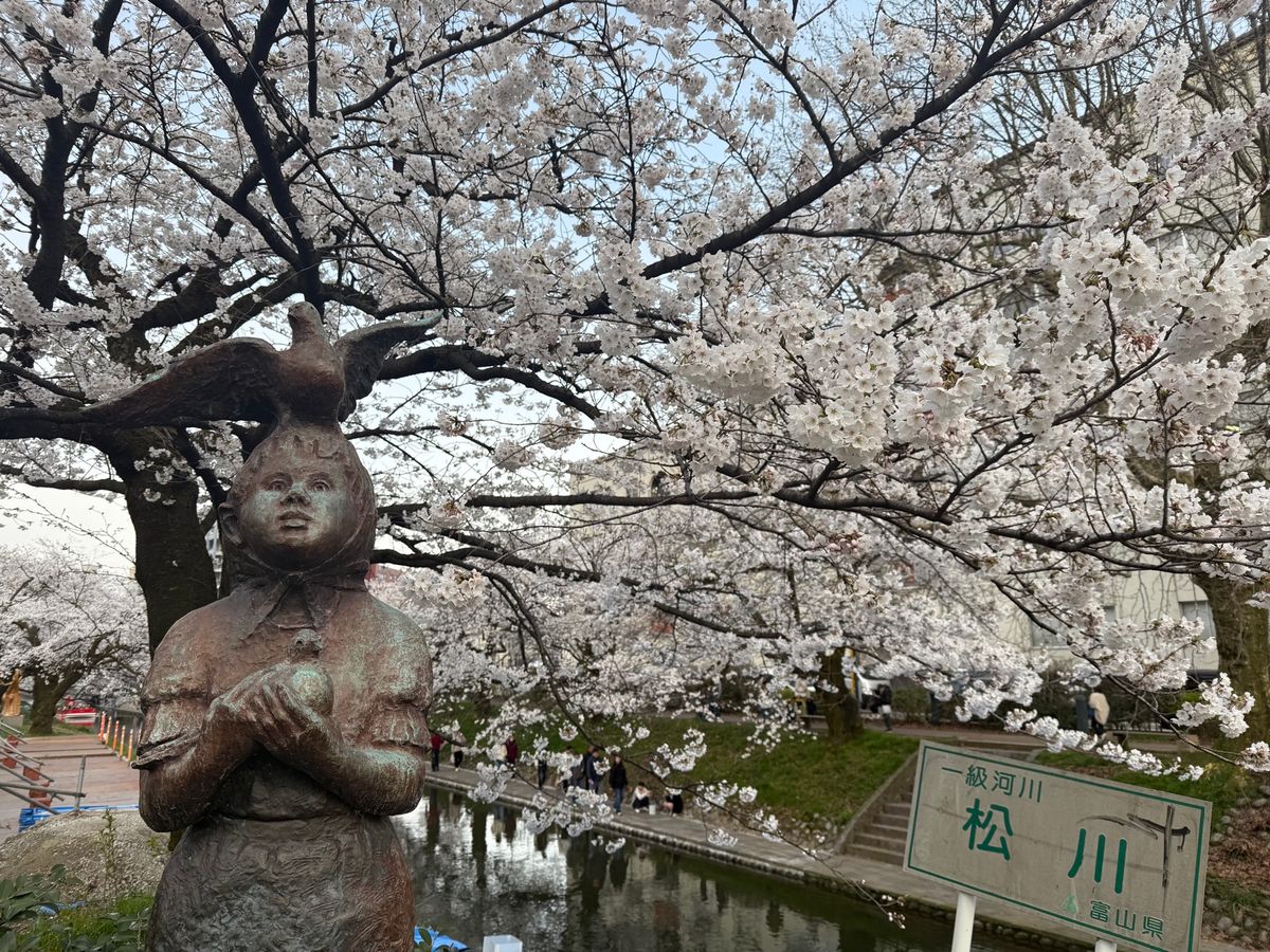 立山連峰の迫力が凄かった。今までこんなに山に感動したことない。こんな風景が...