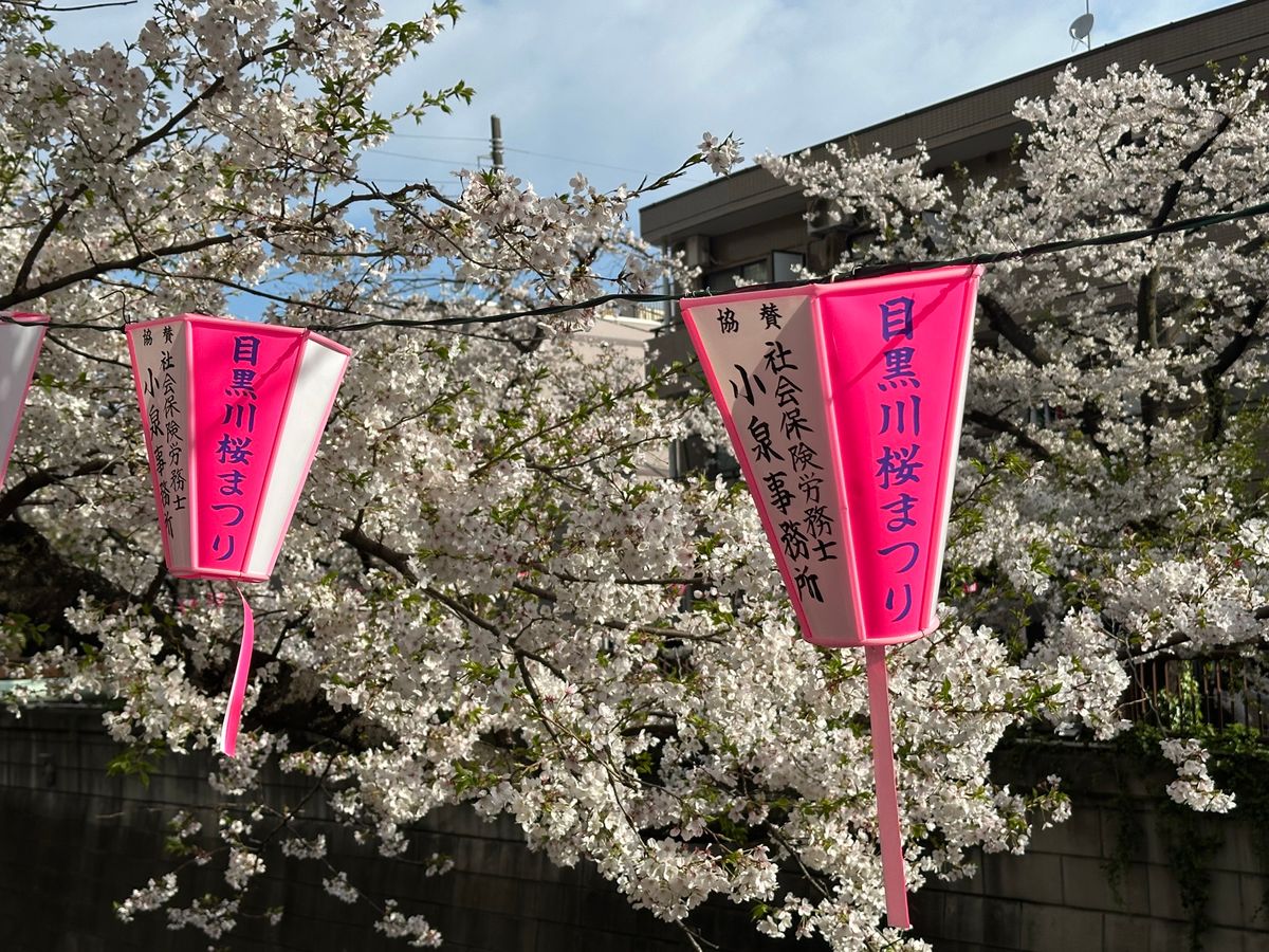 4/6 目黒川桜まつり