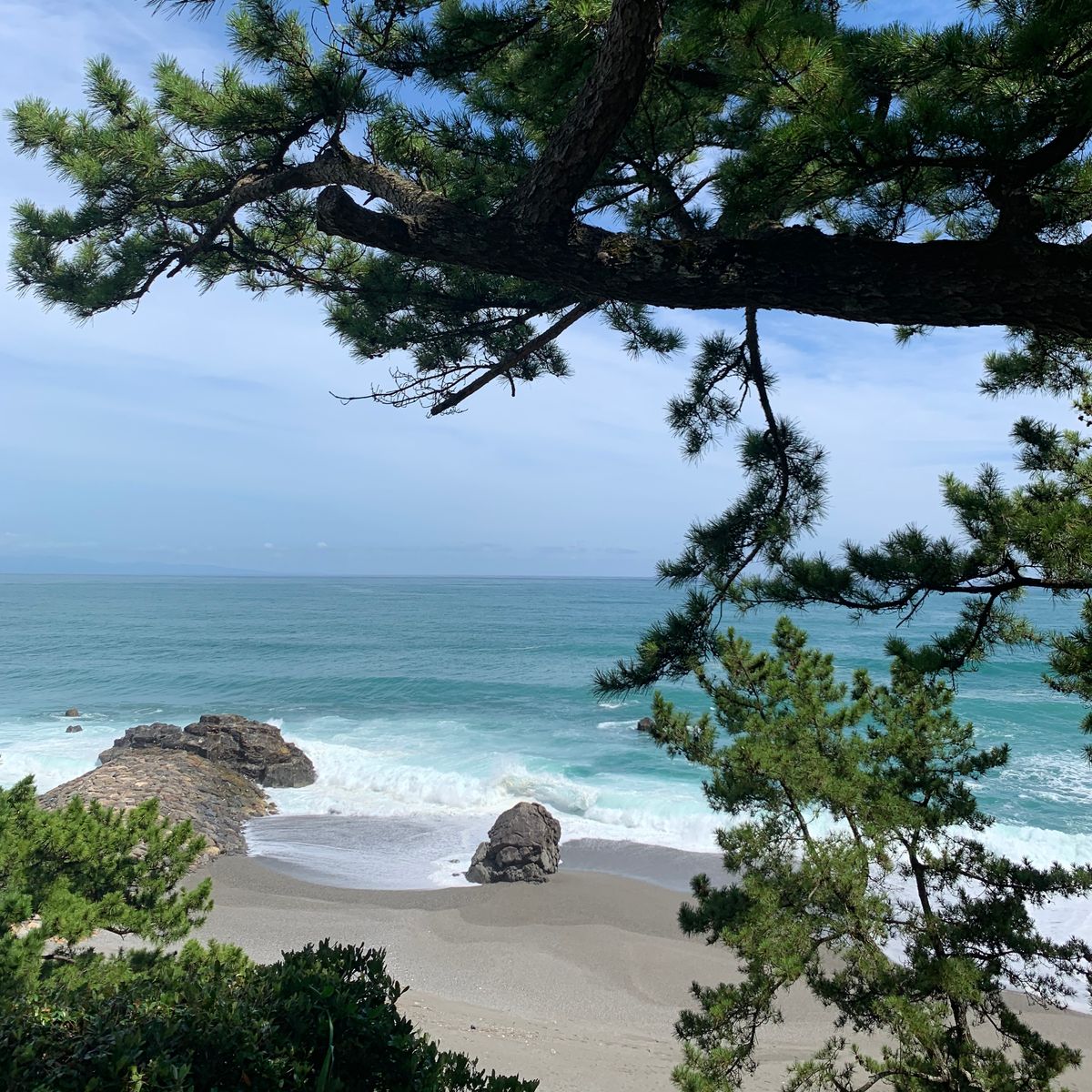 かいだ屋の鰻重。2時間くらい並んだ気がするけど、美味しかった。そして桂浜へ...