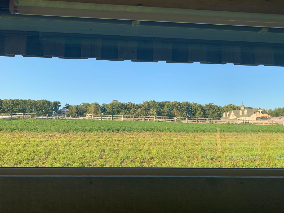 MEMU EARTH HOTELでのんびりと。

ハーバード大学デザイン大...