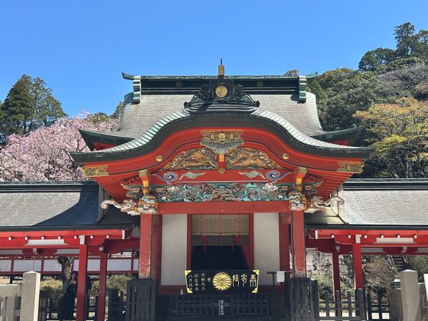 日本・霧島神宮「鹿児島　2025.04」の写真