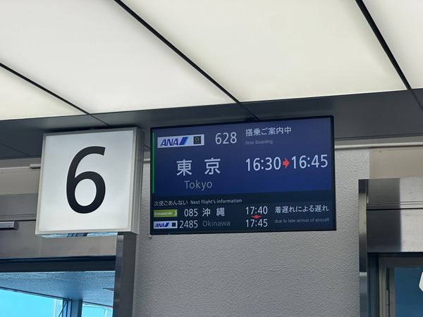 日本・霧島神宮「鹿児島　2025.04」の写真