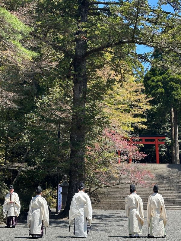 日本・霧島神宮「鹿児島　2025.04」の写真