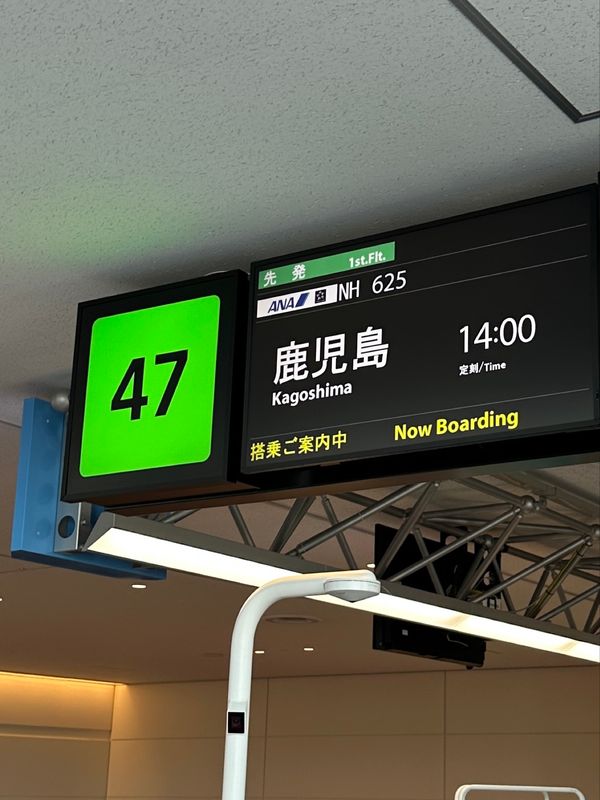 日本・霧島神宮「鹿児島　2025.04」の写真