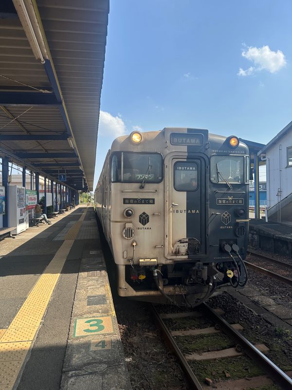 日本・霧島神宮「鹿児島　2025.04」の写真