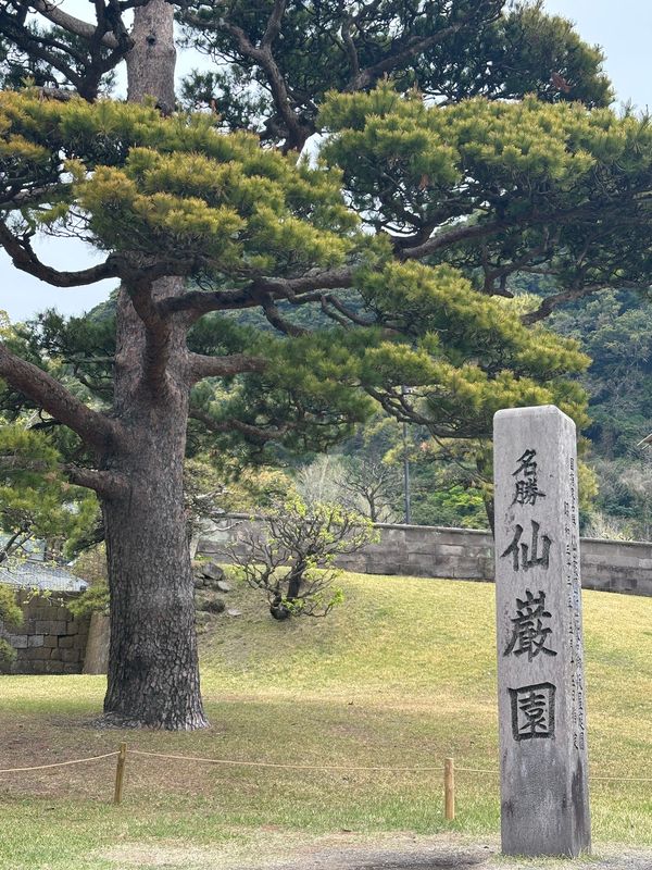 日本・霧島神宮「鹿児島　2025.04」の写真