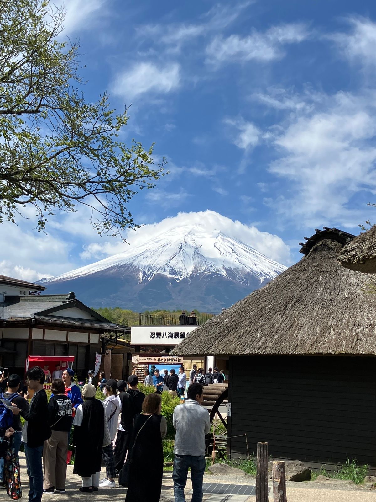 【撮影場所】
山梨県 南都留郡忍野村 忍野八海

【住所】
山梨県南都留郡...