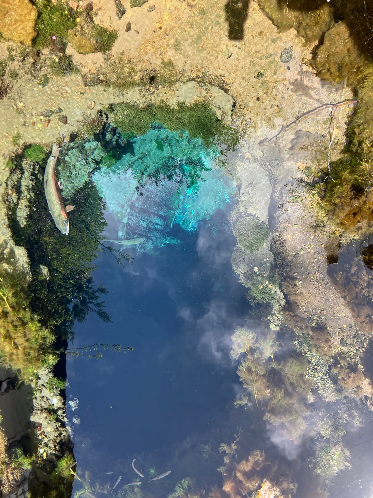 【撮影場所】
山梨県 南都留郡忍野村 忍野八海

【住所】
山梨県南都留郡...