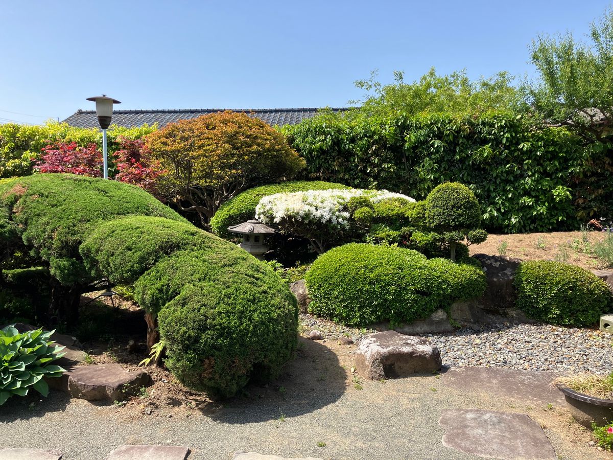 【撮影場所】
山梨県 甲府市 武田神社

【住所】 
山梨県甲府市大手３丁...