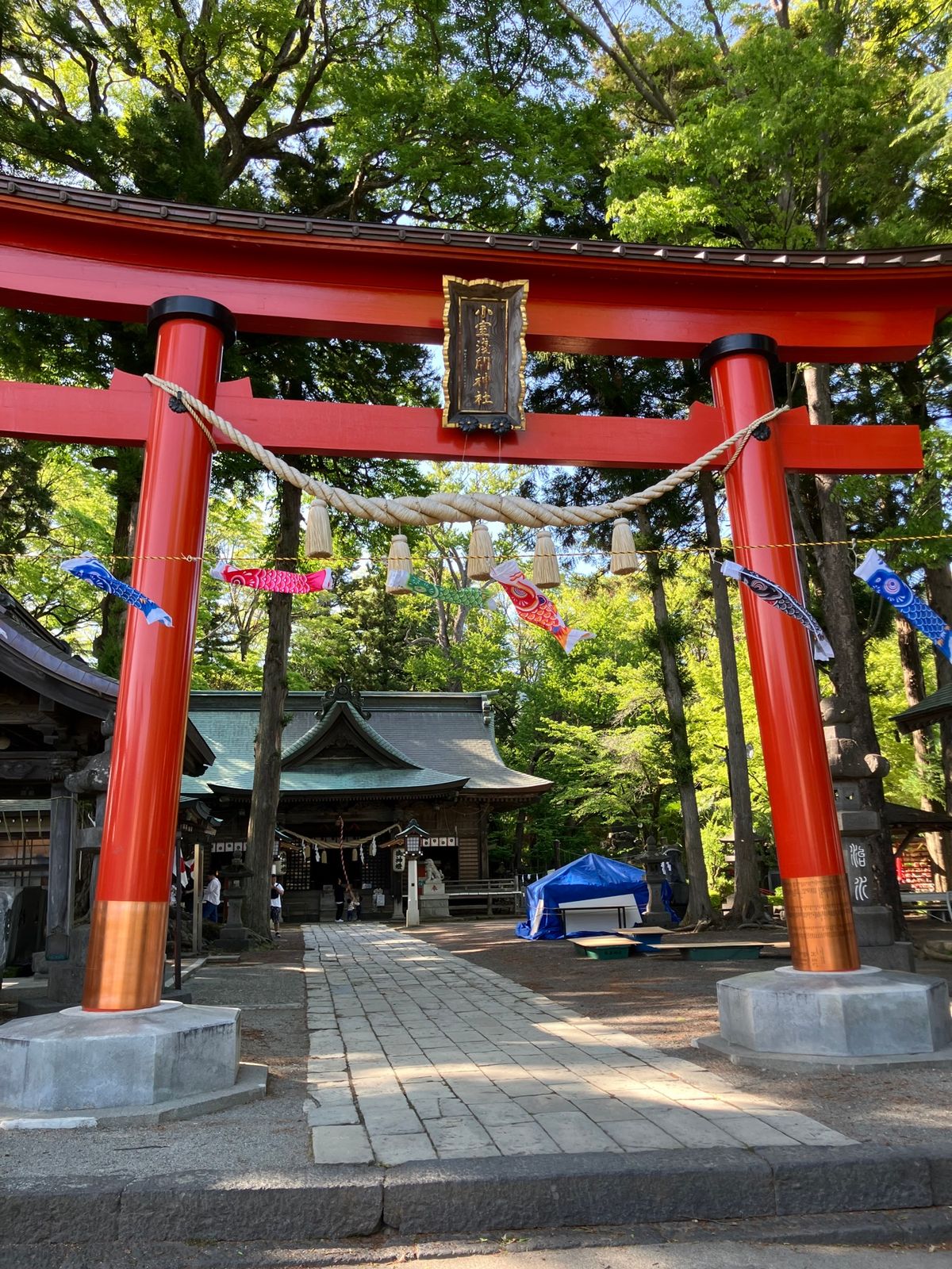 【撮影場所】
山梨県 富士吉田市 小室浅間神社

【住所】
山梨県富士吉田...