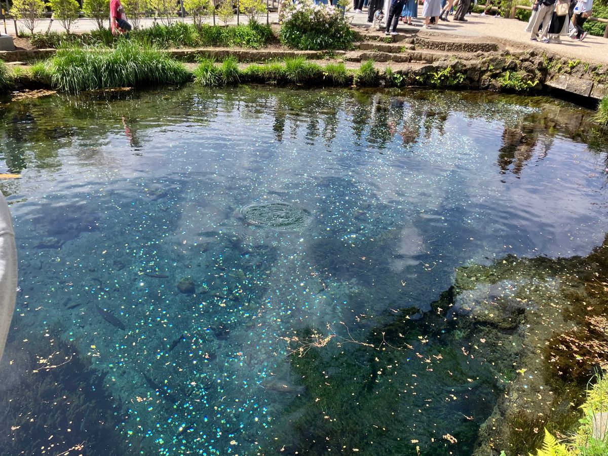 【撮影場所】
山梨県 南都留郡忍野村 忍野八海

【住所】
山梨県南都留郡...