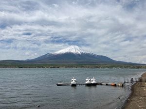 【撮影場所】
山梨県 南都留郡山中湖村 山中湖親水公園

【住所】
山梨県...
