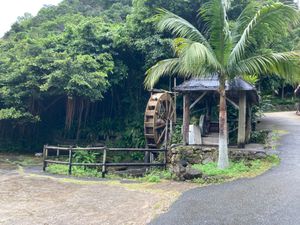 琉球村⑥