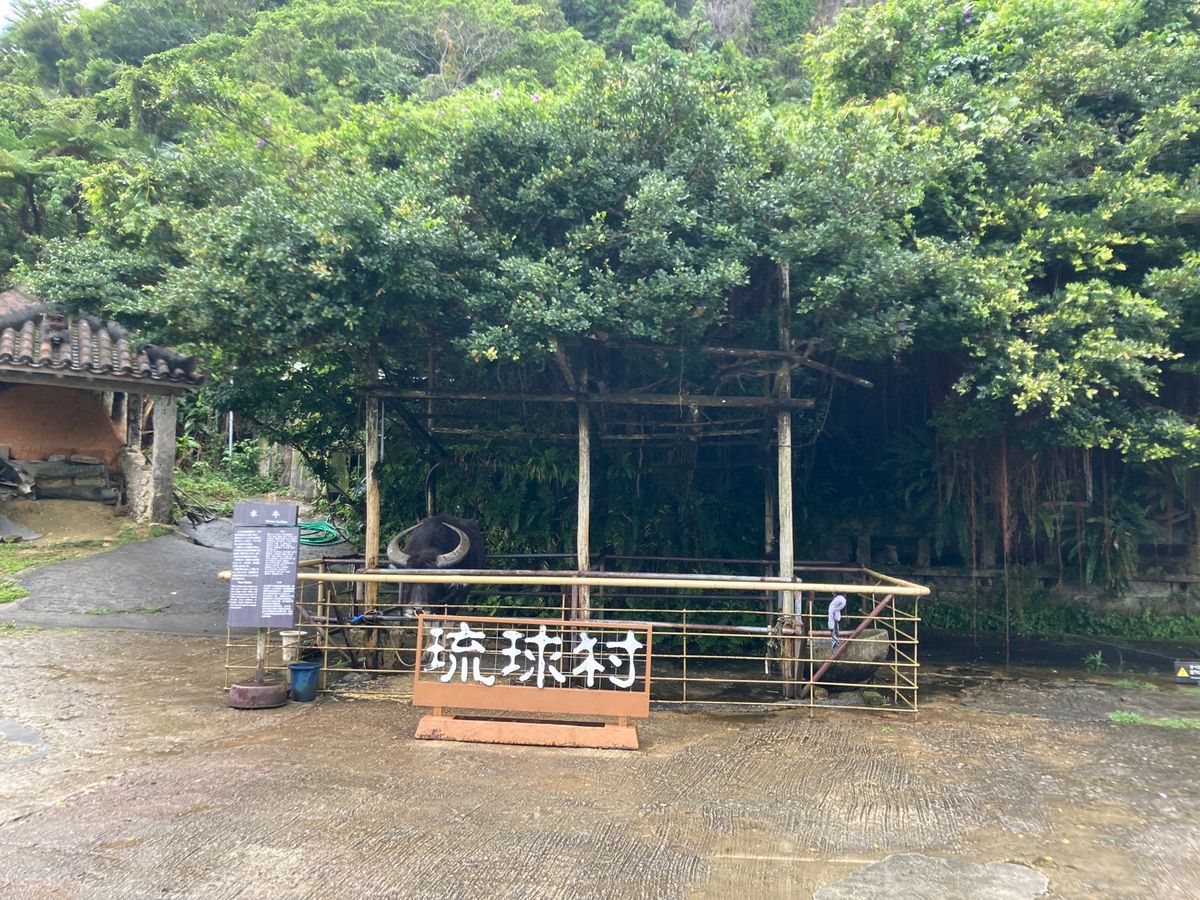 琉球村⑦