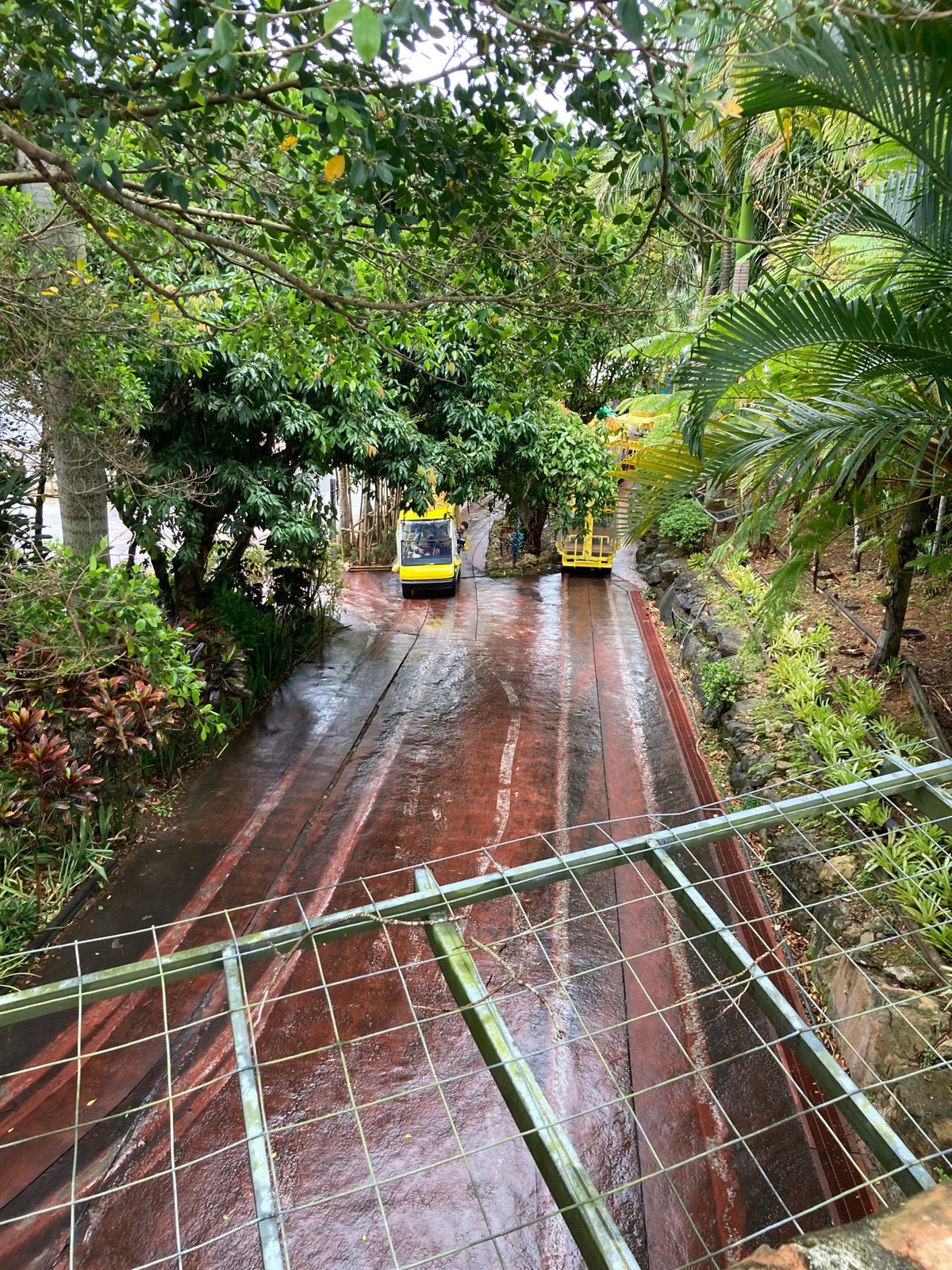 ナゴパイナップルパークに行きました。
ここ、入るまでがながーい！
駐車場か...