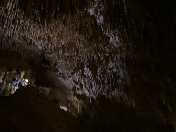 日本「沖縄旅行2回目」の写真：玉泉洞③