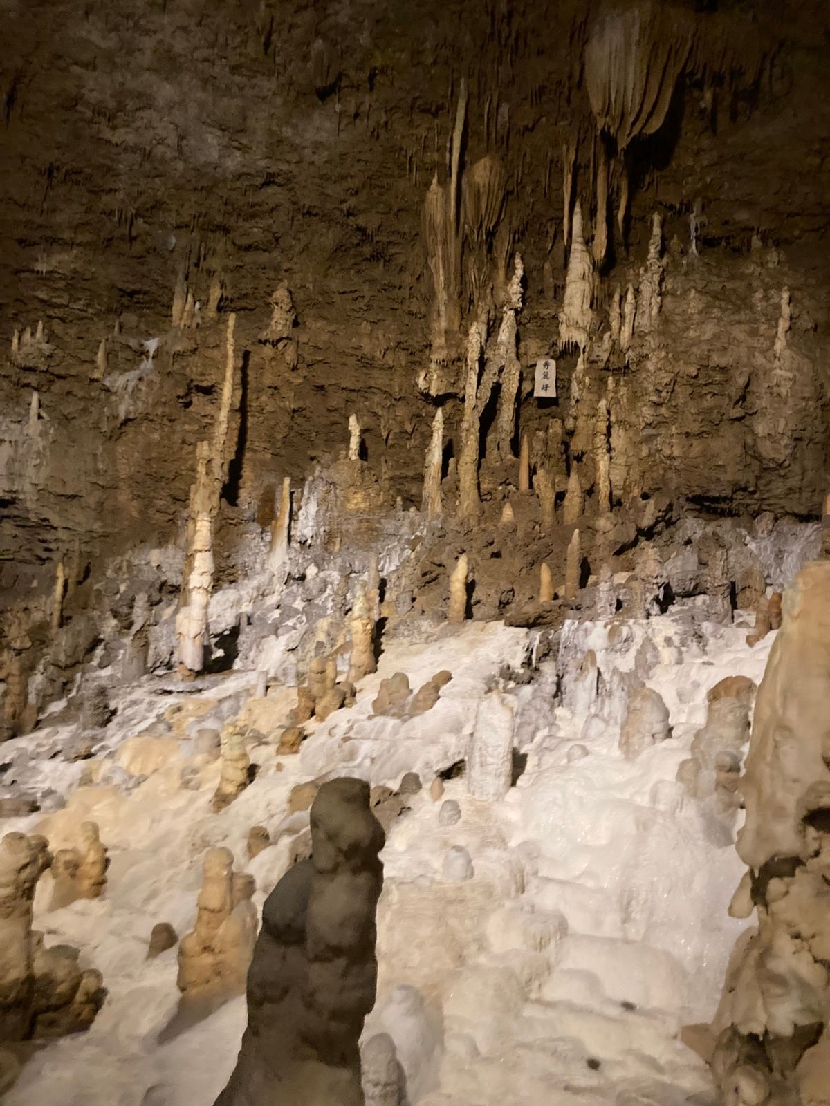 洞窟「玉泉洞」①
洞窟内気温21℃で年間通しほぼ一定とのこと。
冬行くと厚...