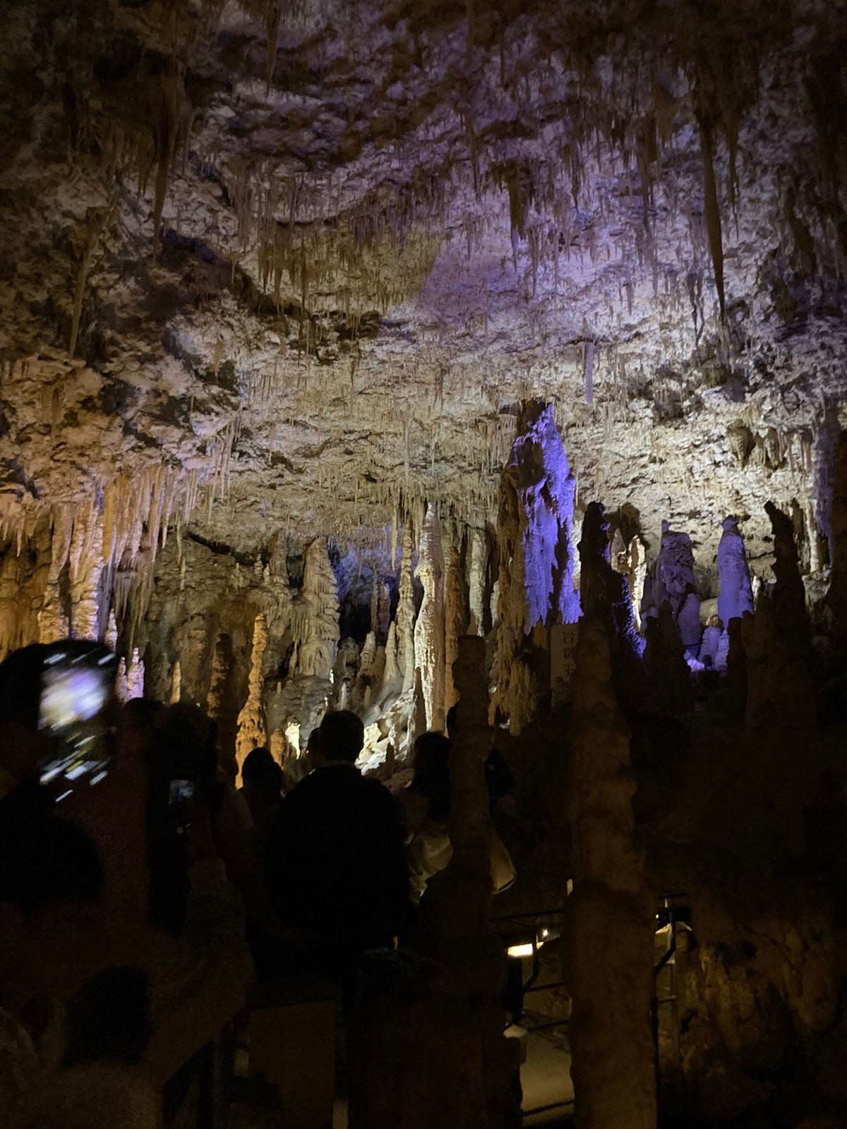 洞窟「玉泉洞」①
洞窟内気温21℃で年間通しほぼ一定とのこと。
冬行くと厚...