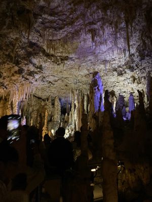 洞窟「玉泉洞」①
洞窟内気温21℃で年間通しほぼ一定とのこと。
冬行くと厚...