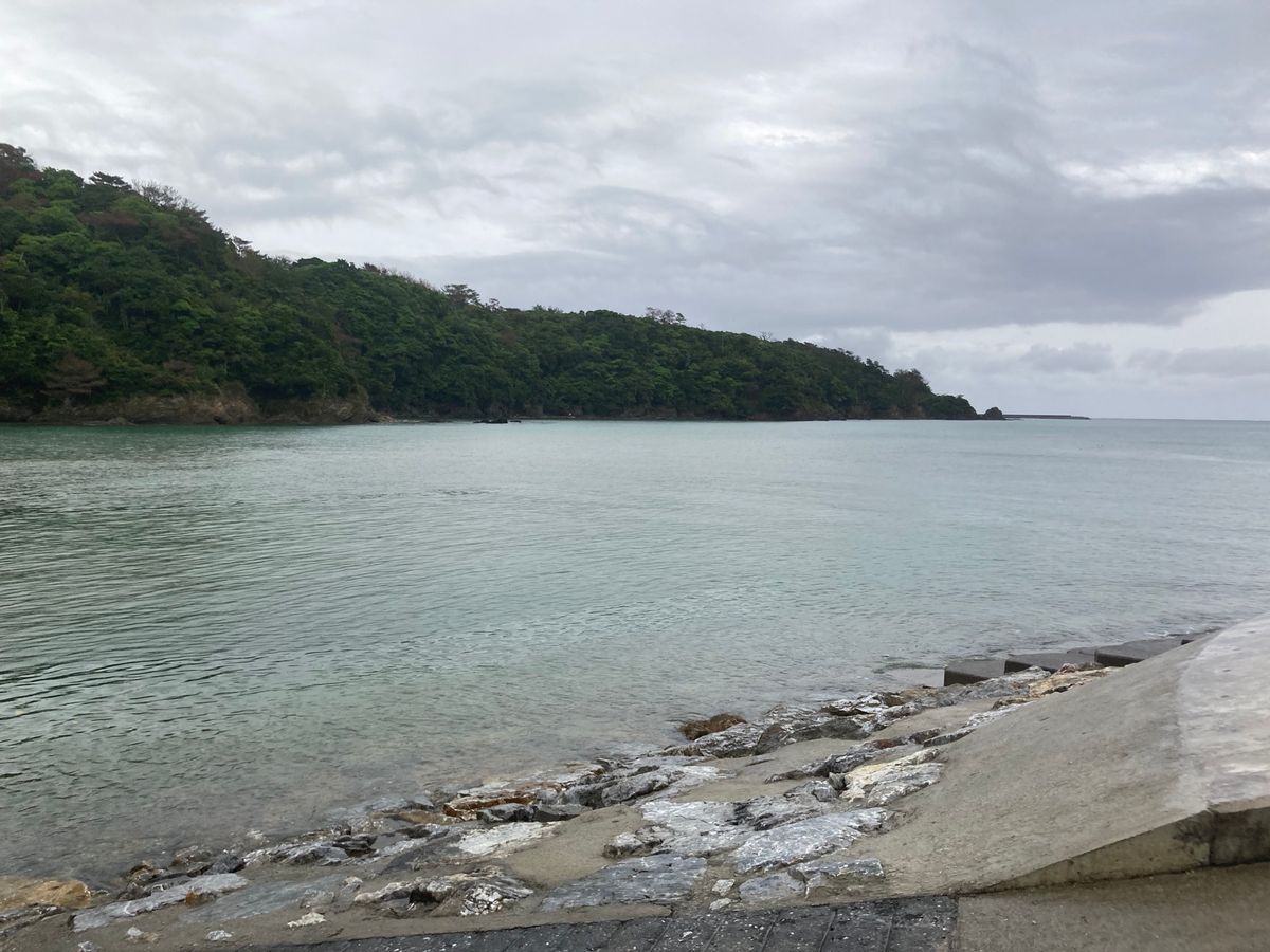 ホテルは本当北部、国頭郡東村という場所にあります。昨年11月に来たときは前...