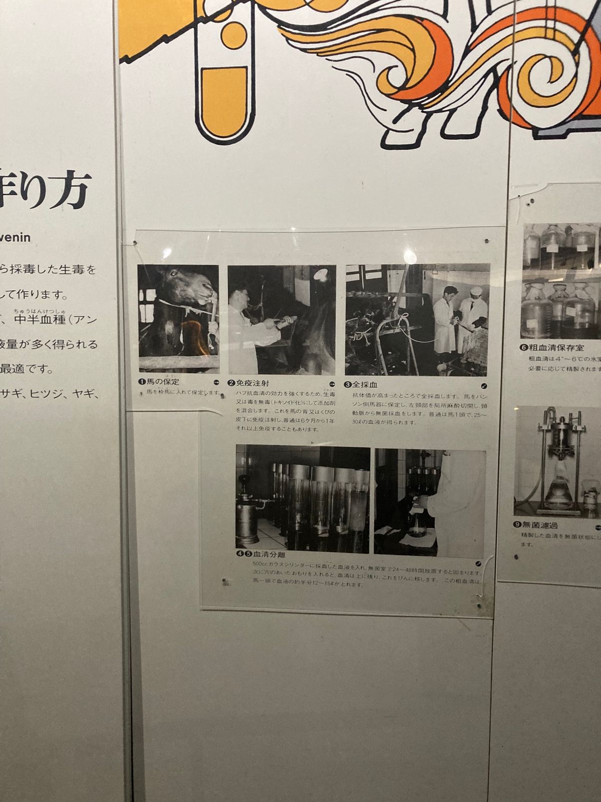 おきなわワールドにある、ハブについての資料いろいろ。