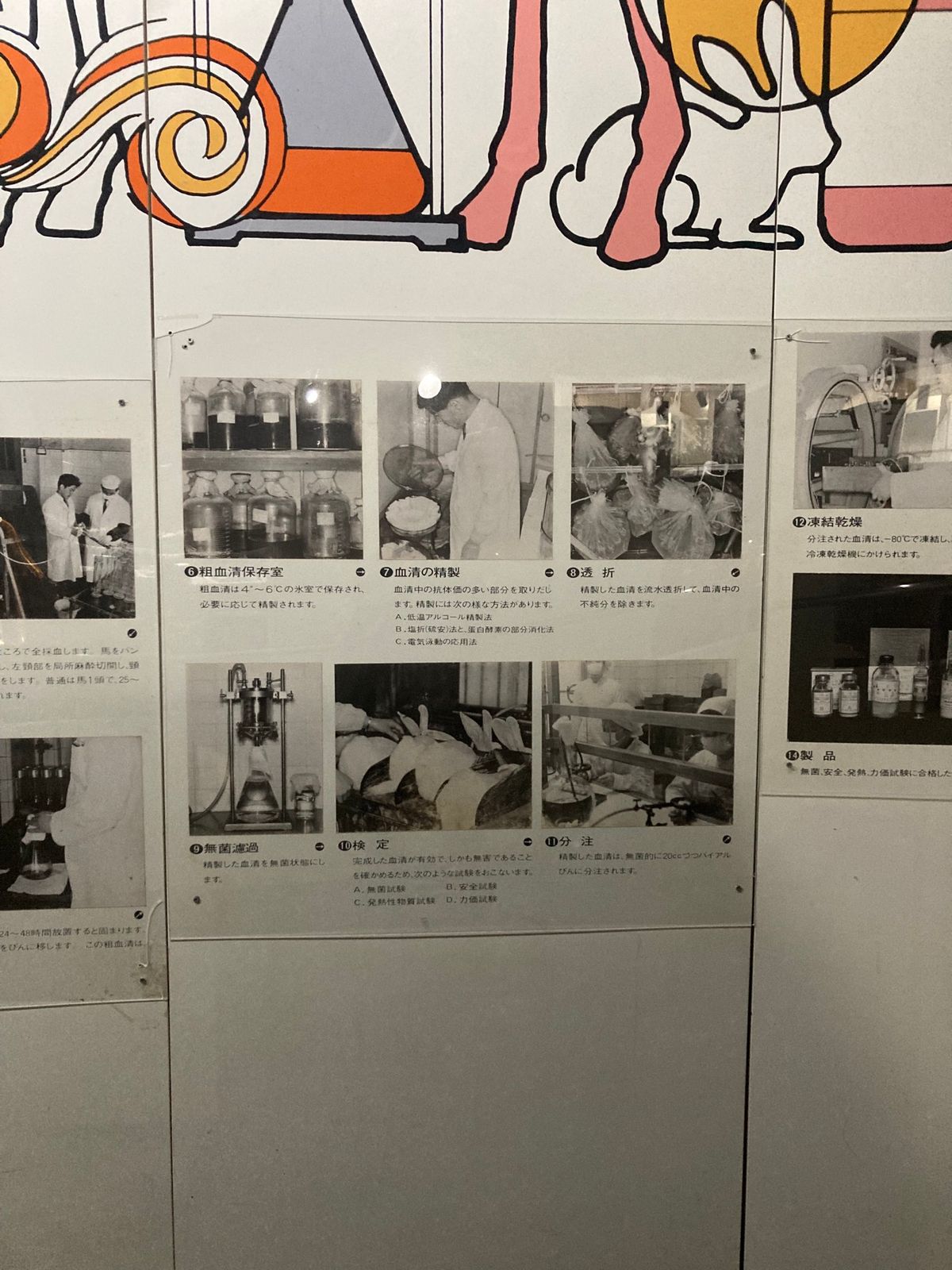 おきなわワールドにある、ハブについての資料いろいろ。