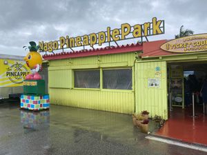 ナゴパイナップルパークに行きました。
ここ、入るまでがながーい！
駐車場か...