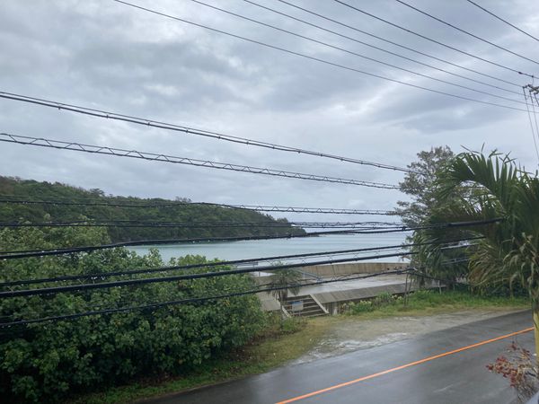 日本「沖縄旅行2回目」の写真：ホテルは本当北部、国頭郡東村という場所に...