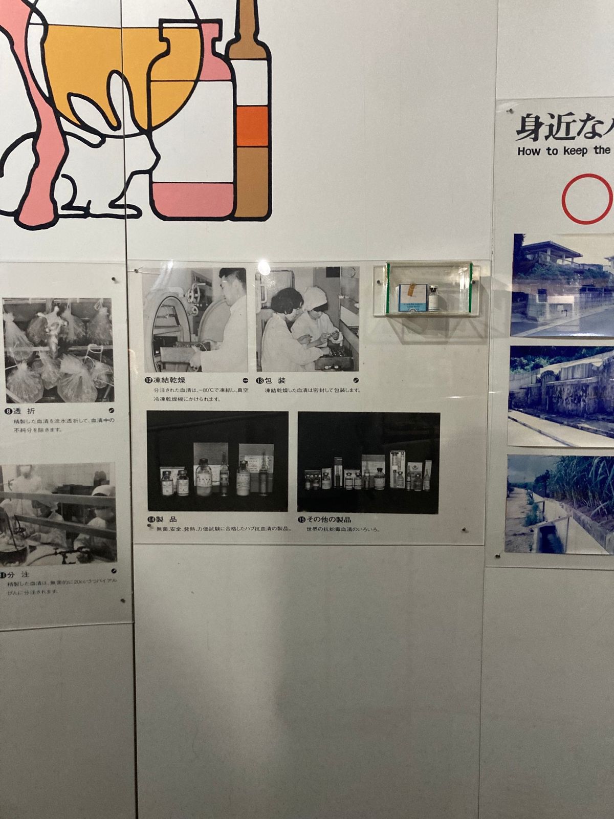 おきなわワールドにある、ハブについての資料いろいろ。