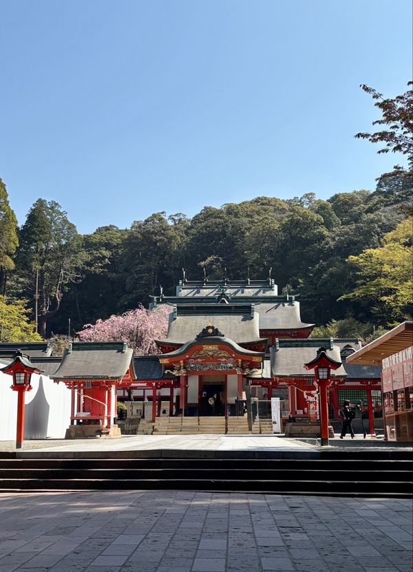 日本・霧島神宮「鹿児島空港から宮崎経由で鹿児島観光」の写真
