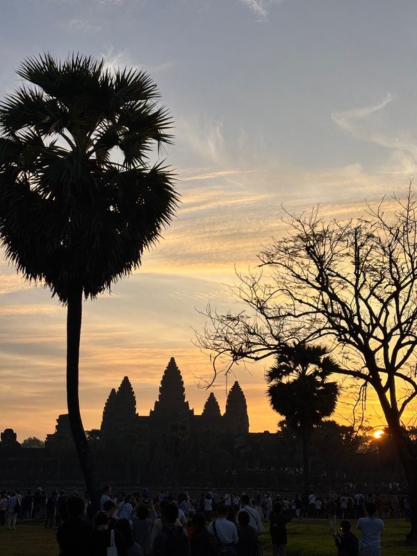 カンボジア・シェムリアップ「カンボジア」の写真