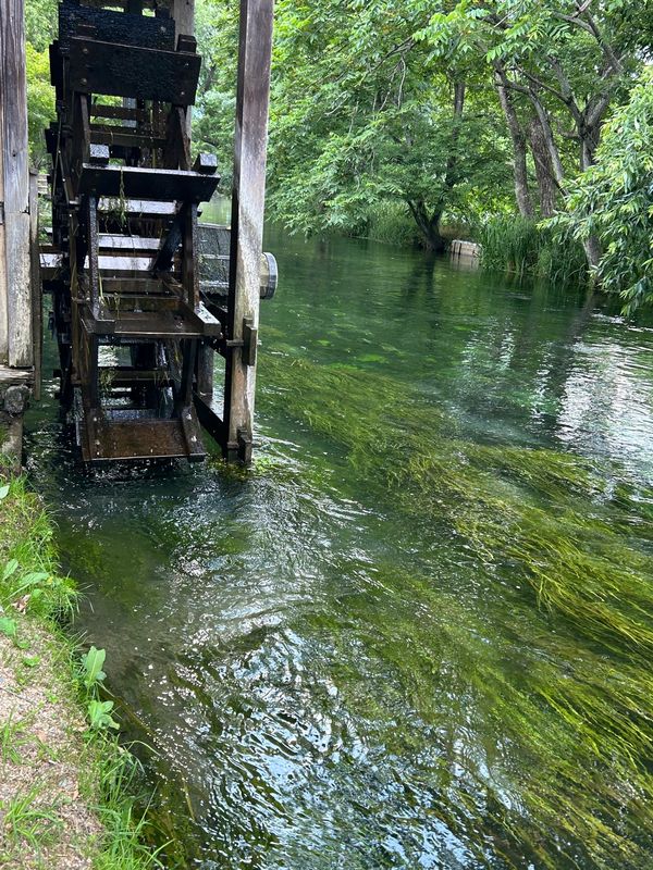 日本・長野県「長野」の写真