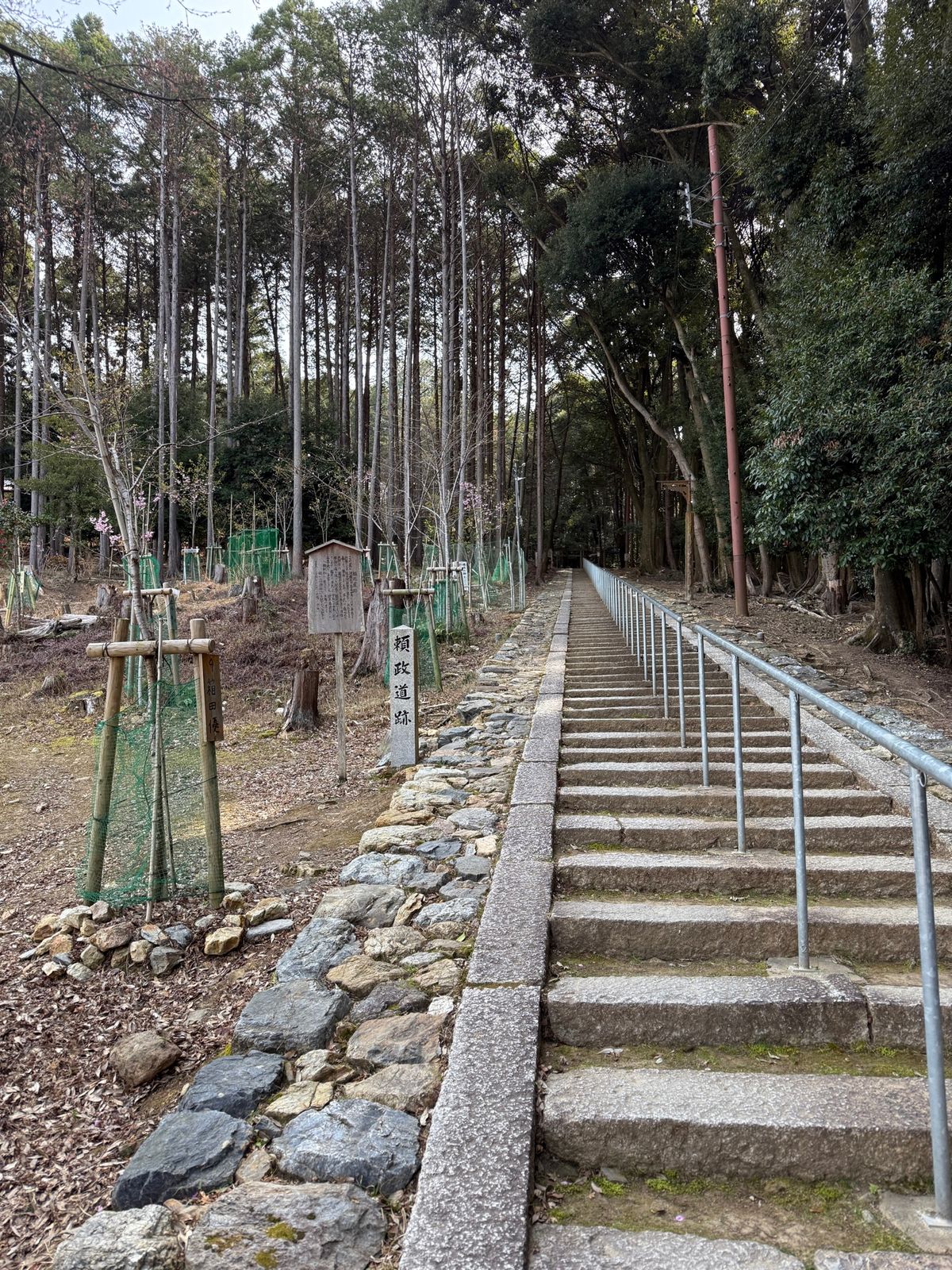 菅原道真ゆかりの神社