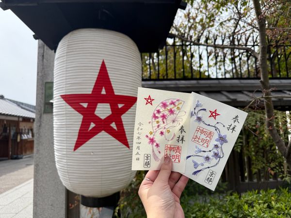 日本・京都「(2025.4)京都女子旅」の写真